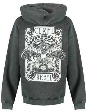 Colourful Rebel Art Eagle acid wash oversized hoodie WH113193