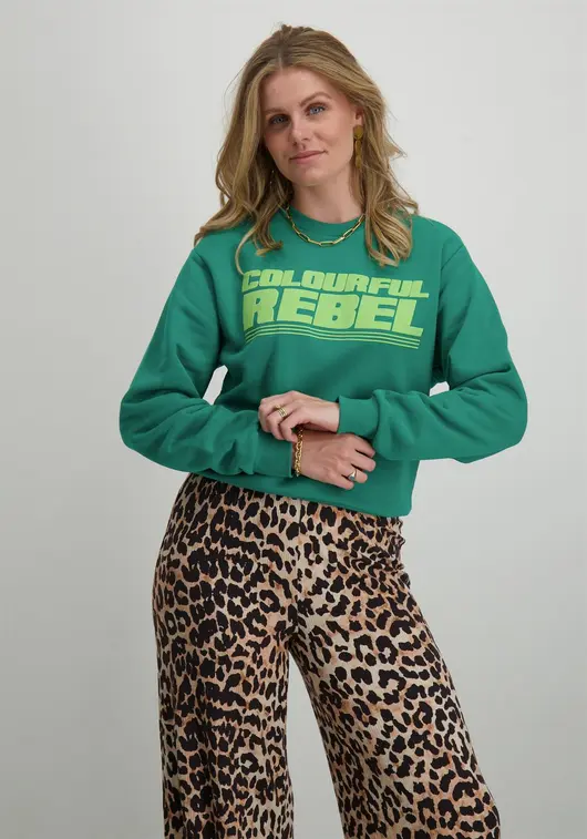 Colourful Rebel Bold Puff Logo Relaxed Sweat WS416100