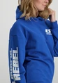Colourful Rebel Bold Sleeve Logo Clean Hoodie WH116093