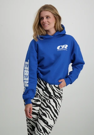 Colourful Rebel Bold Sleeve Logo Clean Hoodie WH116093