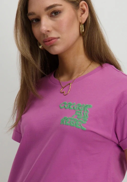 Colourful Rebel puff logo boxy tee STONE special WT116962