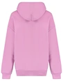 Colourful Rebel Puff Logo Clean Hoodie WH116203