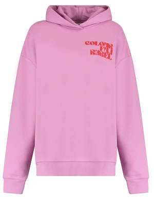 Colourful Rebel Puff Logo Clean Hoodie WH116203