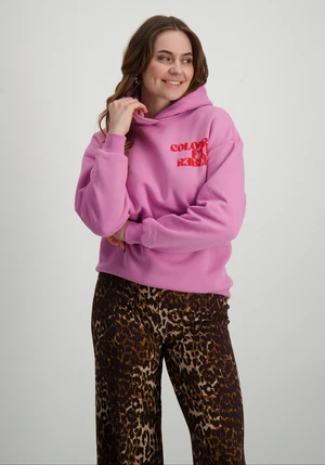 Colourful Rebel Puff Logo Clean Hoodie WH116203