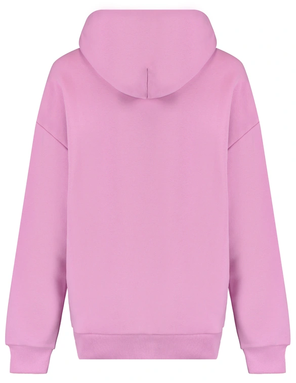 Colourful Rebel Puff Logo Clean Hoodie WH116203