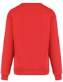Colourful Rebel Puff logo Relaxed Sweat WS416206