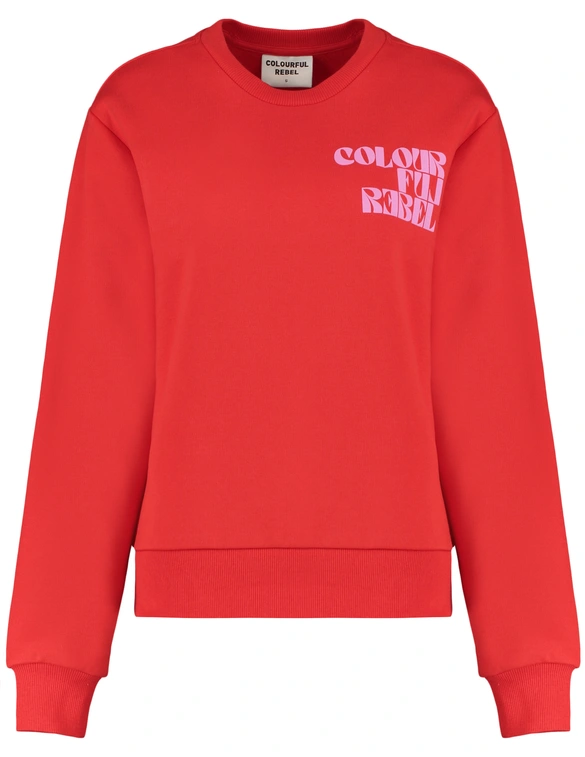 Colourful Rebel Puff logo Relaxed Sweat WS416206