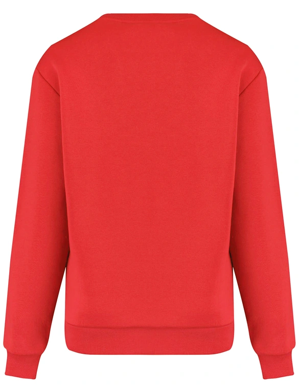 Colourful Rebel Puff logo Relaxed Sweat WS416206