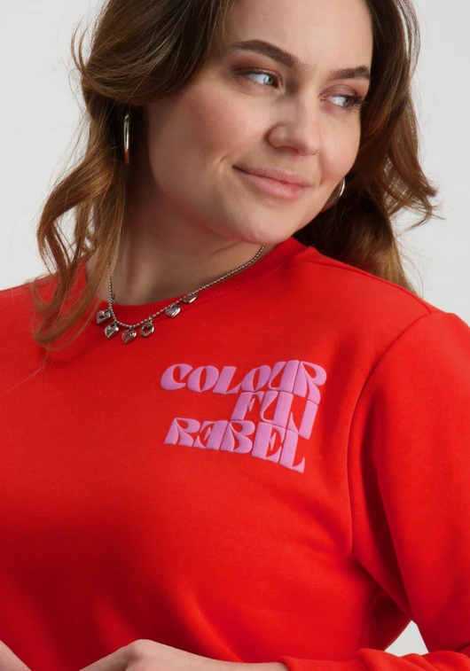 Colourful Rebel Puff logo Relaxed Sweat WS416206