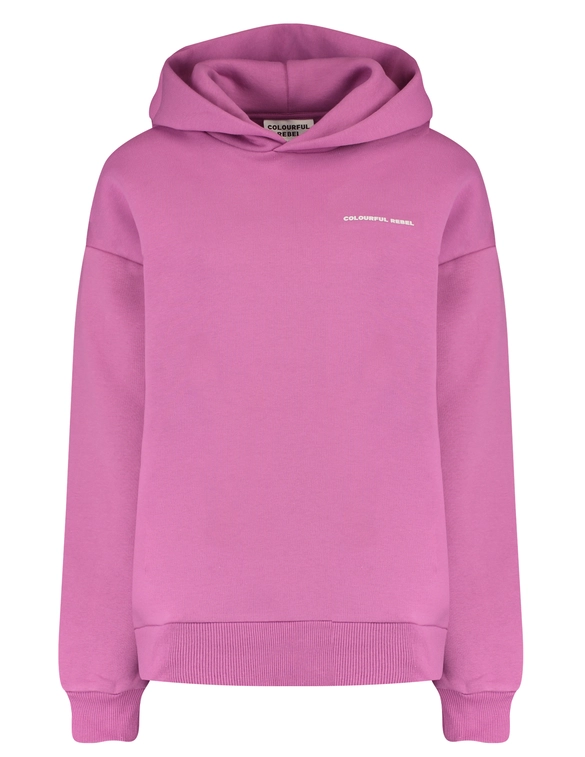 Colourful Rebel rugby clean hoodie WH116851