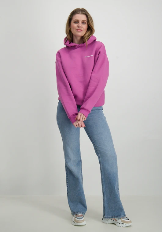 Colourful Rebel rugby clean hoodie WH116851