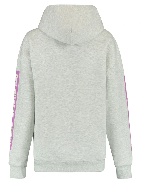 Colourful Rebel Sleeve Logo Clean Hoodie WH116124