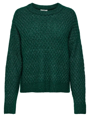 Jacqueline de Yong JDYBIGUM L/S O-NECK PULLOVER KNT 15328356