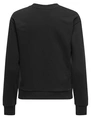 Jacqueline de Yong JDYPARIS L/S EMB SWEAT JRS 15221015