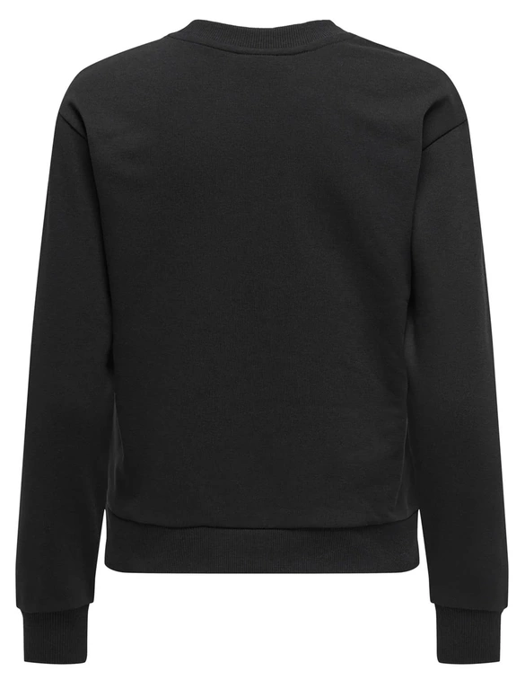 Jacqueline de Yong JDYPARIS L/S EMB SWEAT JRS 15221015