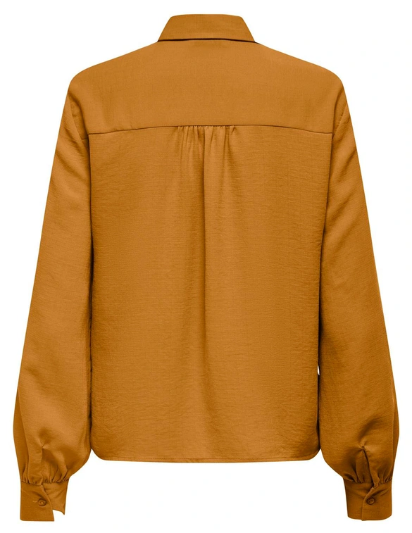 Jacqueline de Yong JDYRACHEL L/S LACE SHIRT WVN 15323271