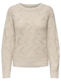 Jacqueline de Yong JDYSUN LISA L/S ON STRUC. PULLOVER 15336306