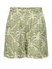 Jacqueline de Yong JDYTROYA LIFE MW SHORTS WVN DIA 15347221