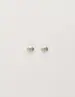 My Jewellery Studs shell MJ10326