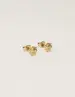 My Jewellery Studs sun MJ10300