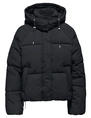 Only ONLHOPE SHORT PUFFER JACKET CC OTW 15322013