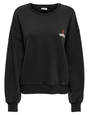 Only ONLLUCINDA REG L/S TOUR BOX SWT 15270951