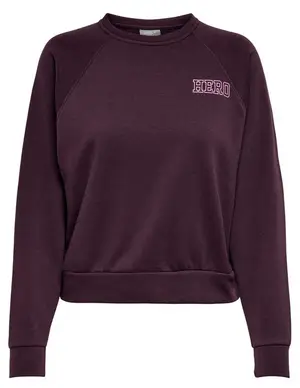 Only ONLLULA L/S RAGLAN SWT 15244345