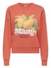 Only ONLPHILEA L/S FRUIT O-NECK UB SWT 15351693