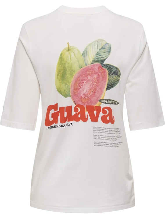 Only ONLPHOEBE S/S FRESH TOP BOX JRS 15351369