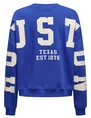 Only ONLSWEAT L/S BACK/SLEEVE PRINT SWT 15356793