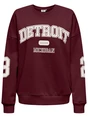 Only ONLVICTORY L/S O-NECK FIT SWT 15362900