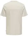 ONLY & SONS ONSBALE REG SS TEE 22025680