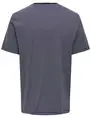 ONLY & SONS ONSBALE REG SS TEE 22025680