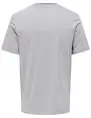 ONLY & SONS ONSBALE REG SS TEE 22025680