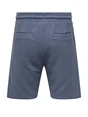 ONLY & SONS ONSCAL REG STRUCT PLEAT SHORTS 22033096