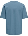 ONLY & SONS ONSCASPIAN AIRFLEX AUT SS TEE NOOS 22031940