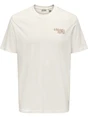 ONLY & SONS ONSCHRIS LIFE REG SS TEE 22034333