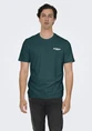 ONLY & SONS ONSCHRIS LIFE REG SS TEE 22034333