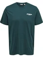 ONLY & SONS ONSCHRIS LIFE REG SS TEE 22034333