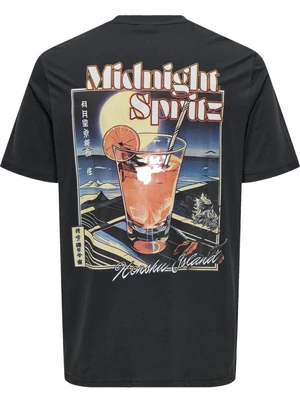 ONLY & SONS ONSCHRIS LIFE REG SS TEE 22034333