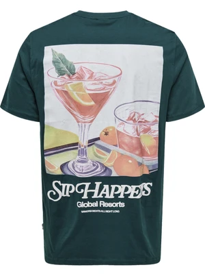 ONLY & SONS ONSCHRIS LIFE REG SS TEE 22034333