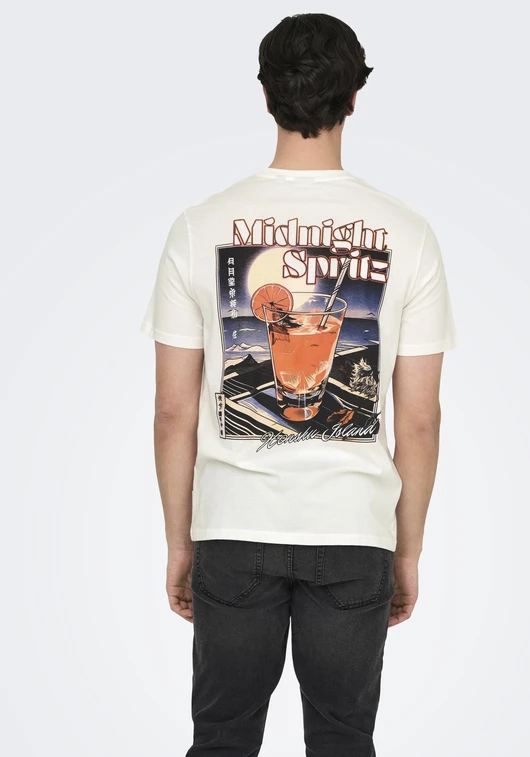 ONLY & SONS ONSCHRIS LIFE REG SS TEE 22034333