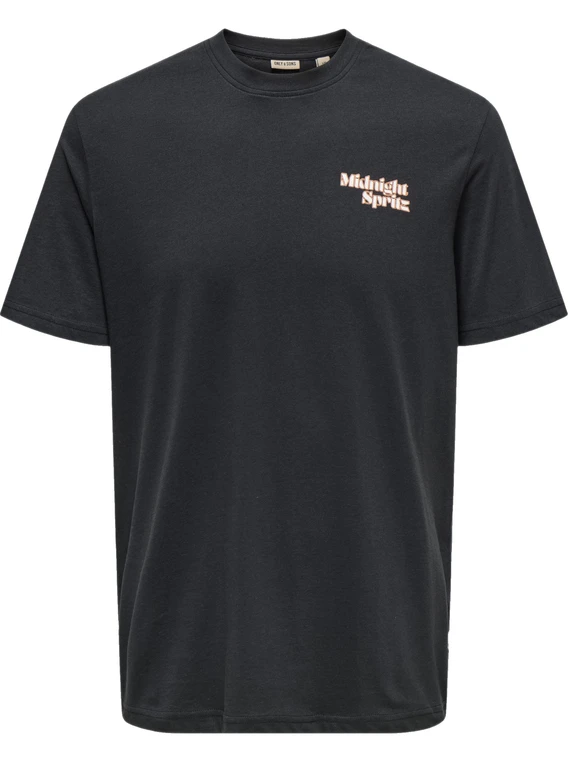 ONLY & SONS ONSCHRIS LIFE REG SS TEE 22034333
