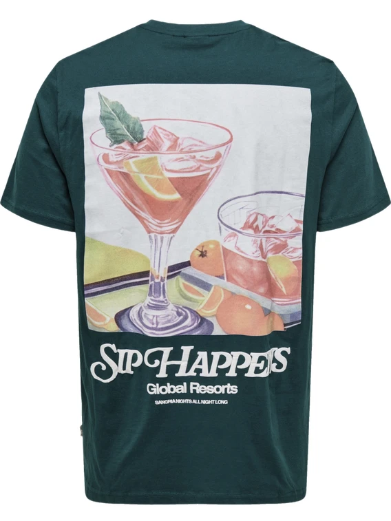 ONLY & SONS ONSCHRIS LIFE REG SS TEE 22034333