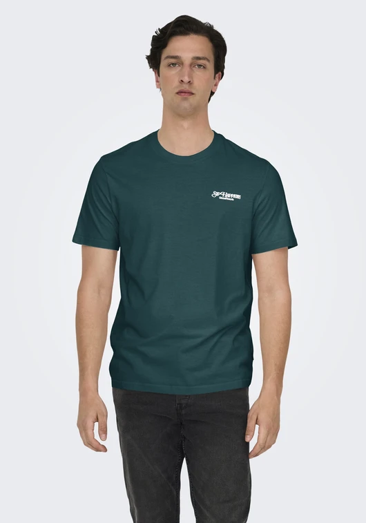 ONLY & SONS ONSCHRIS LIFE REG SS TEE 22034333
