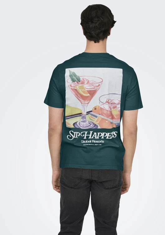 ONLY & SONS ONSCHRIS LIFE REG SS TEE 22034333