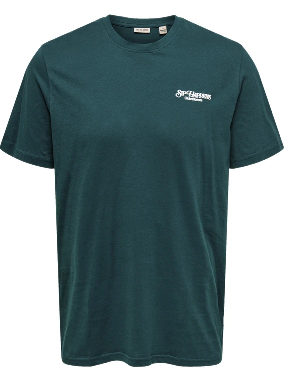 ONLY & SONS ONSCHRIS LIFE REG SS TEE 22034333