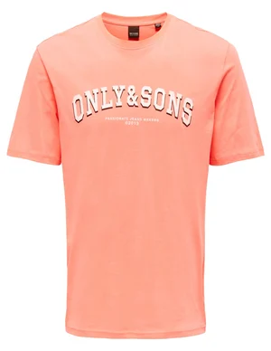 ONLY & SONS ONSCRUYFF REG SS LOGO TEE CS 22026119