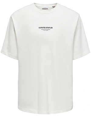 ONLY & SONS ONSCURATED RLX PRINT SS TEE NOOS 22030925