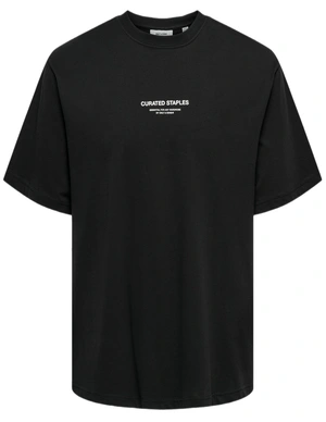 ONLY & SONS ONSCURATED RLX PRINT SS TEE NOOS 22030925